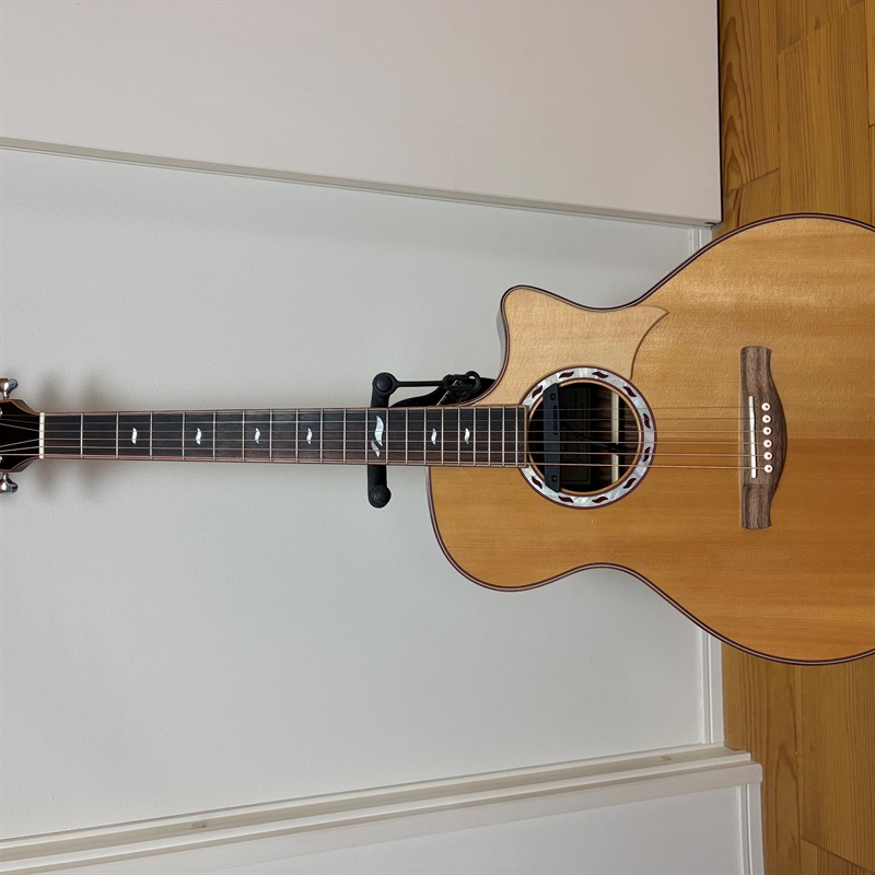 Ibanez MRC-10の画像